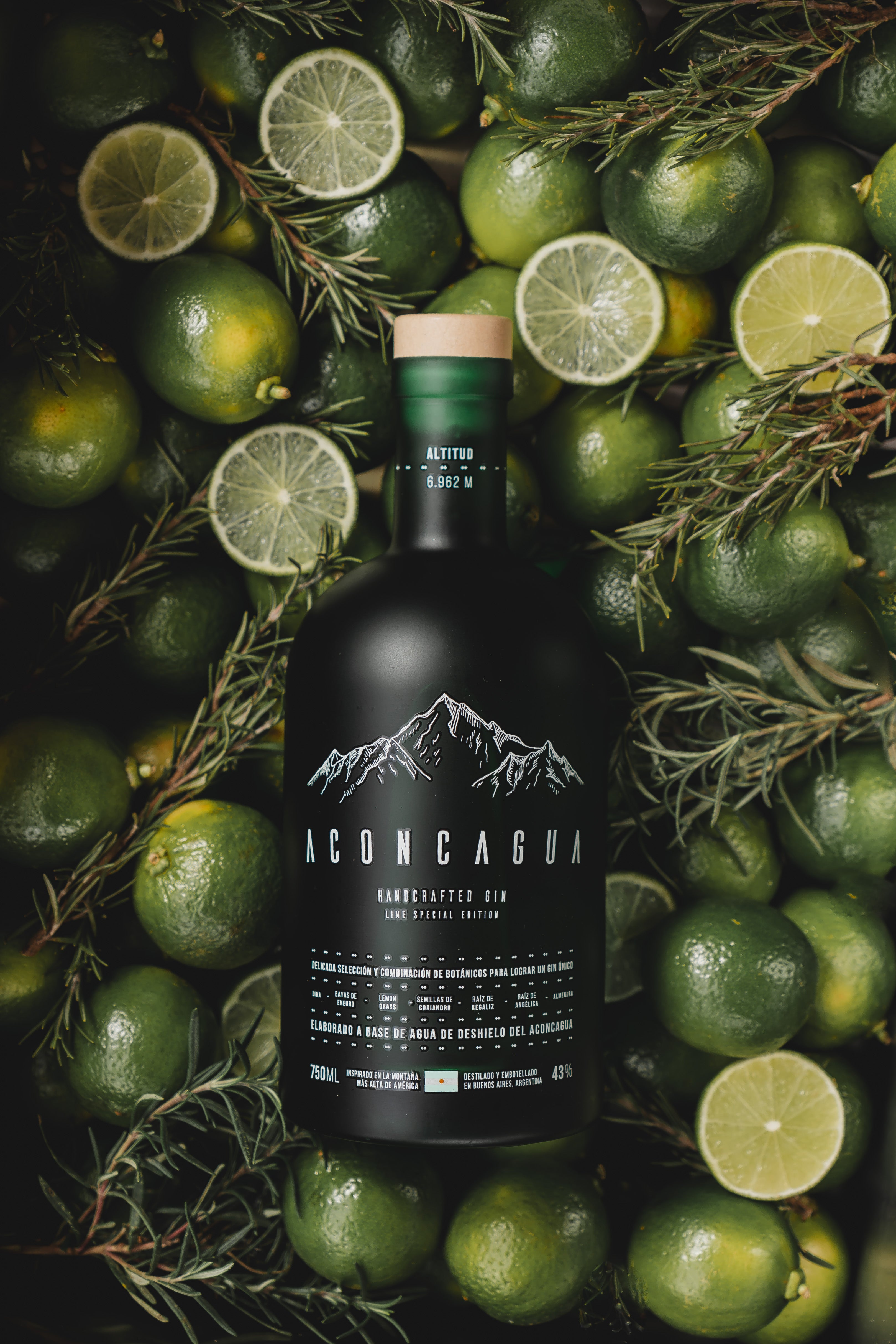 Gin Aconcagua Lime Special