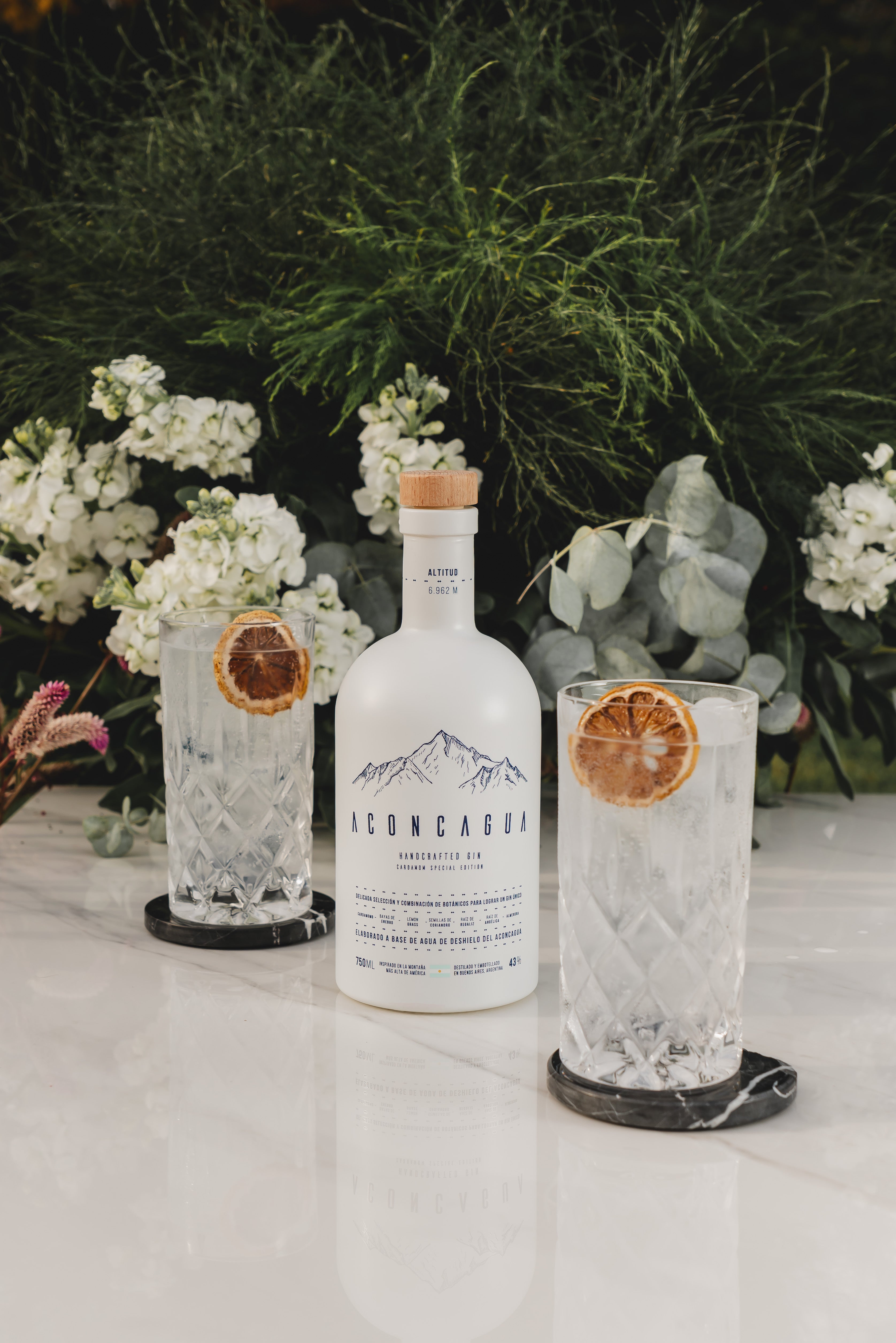 Gin Aconcagua Cardamom Special
