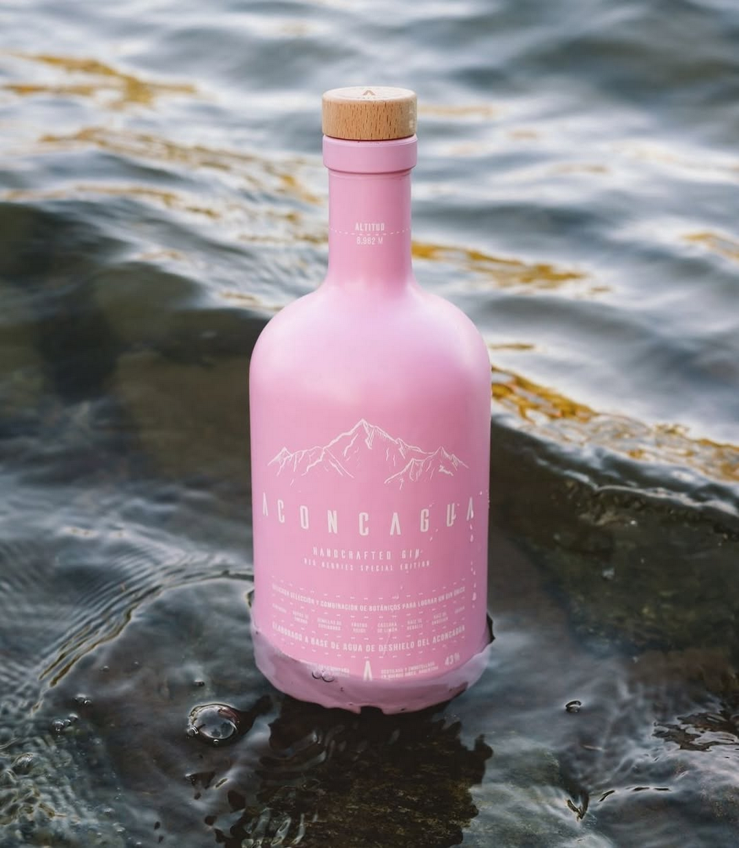 Gin Aconcagua Pink Special