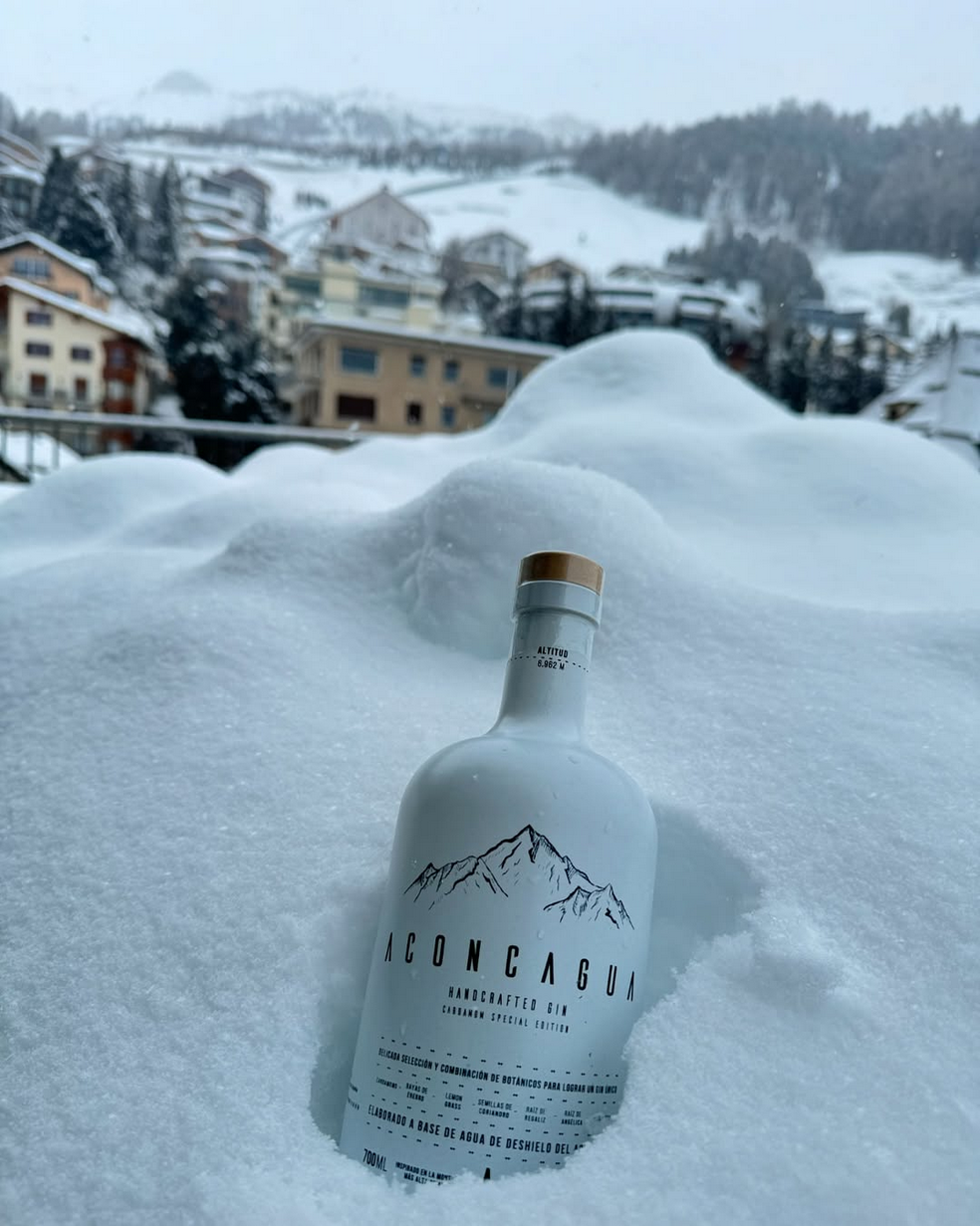 Gin Aconcagua Cardamom Special
