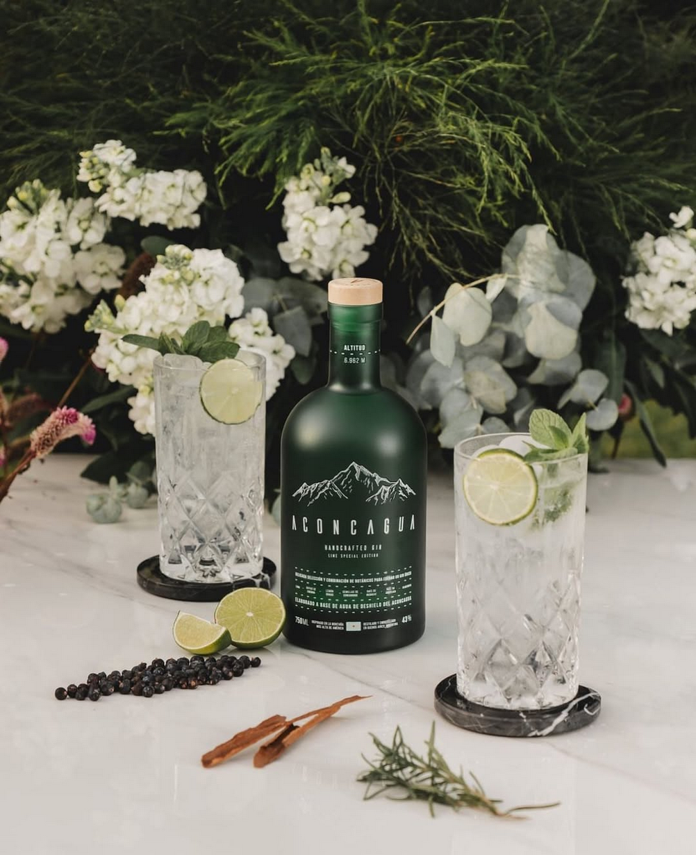 Gin Aconcagua Lime Special